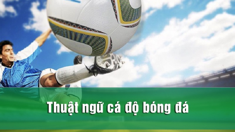 Một số thuật ngữ trong cá cược bóng đá khác